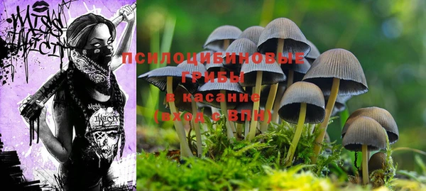 2c-b Алексеевка