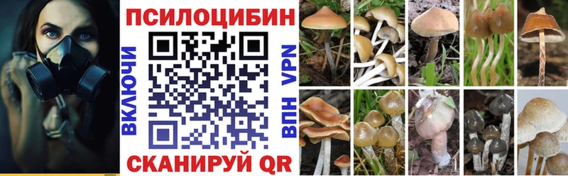 Псилоцибиновые грибы мицелий  закладки  Дрезна 